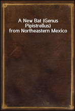 A New Bat (Genus Pipistrellus) from Northeastern Mexico