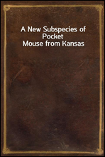 A New Subspecies of Pocket Mouse from Kansas