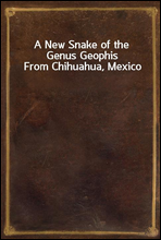 A New Snake of the Genus Geophis From Chihuahua, Mexico