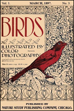 Birds, Illustrated by Color Photography, Vol. 1, No. 3
March 1897