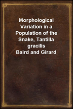 Morphological Variation in a Population of the Snake, Tantilla gracilis Baird and Girard