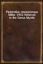 Pipistrellus cinnamomeus Miller 1902 Referred to the Genus Myotis