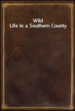 Wild Life in a Southern County