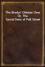 The Bradys' Chinese Clew; Or, The Secret Dens of Pell Street