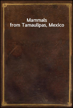 Mammals from Tamaulipas, Mexico