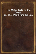 The Motor Girls on the Coast; or, The Waif From the Sea