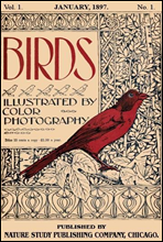Birds, Illustrated by Color Photography, Vol. 1, No. 1
January, 1897