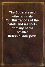 The Squirrels and other animals
Or, Illustrations of the habits and instincts of many of the smaller British quadrupeds