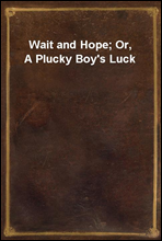 Wait and Hope; Or, A Plucky Boy`s Luck