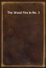 The Wood Fire in No. 3