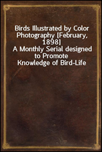 Birds Illustrated by Color Photography [February, 1898]
A Monthly Serial designed to Promote Knowledge of Bird-Life