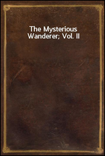 The Mysterious Wanderer; Vol. II
